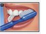 brushing diagram